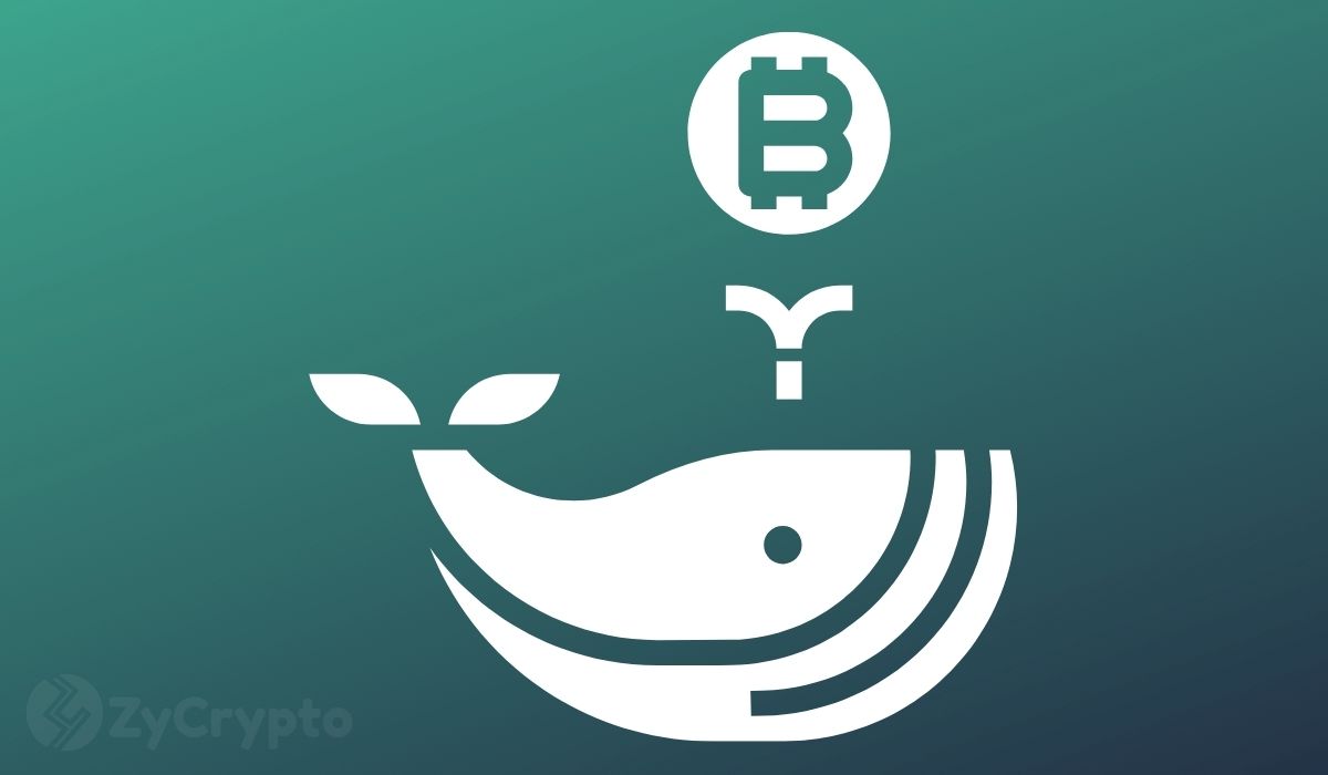 A Mammoth Bitcoin Whale Has Passed Away And Everyones Left With One Troubling Question - درگذشت یکی از نهنگ های بیت کوین و سوال عجیبی که ذهن همه را مشغول کرده است