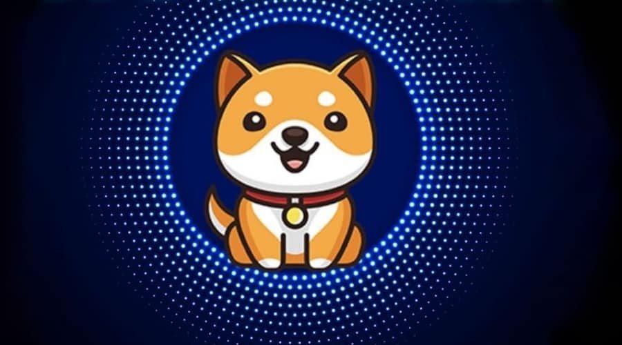 Baby Doge Cryptocurrency - Baby Doge Coin اکنون بیش از 370،000 هولدر دارد