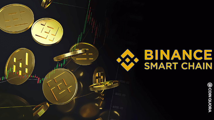 Binance Smart Chain Reaches 12M Staked BNB - بایننس اسمارت چین ،رکورد استیکینگ BNB خود را به 12 میلیون دلار رساند