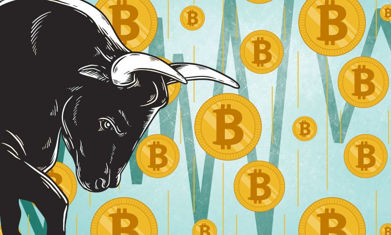 Bitcoin Bulls Here To Stay - مدل انباشت به جریان (S2F) پیش بینی می کند: بیت کوین در پایان ماه آگوست به زیر 47 هزار دلار نخواهد رسید