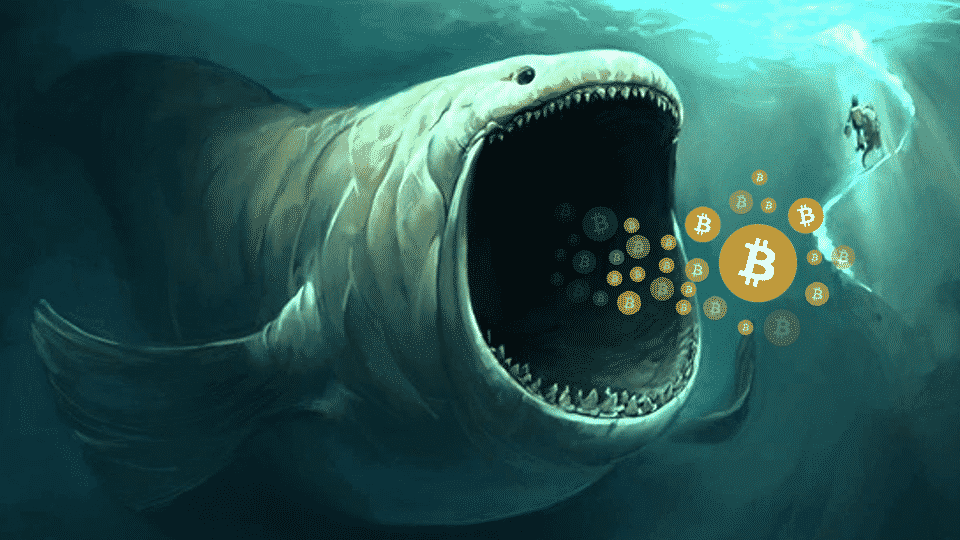 Bitcoin whales sell off - یک نهنگ در طول آخر هفته 30000 بیت کوین خرید