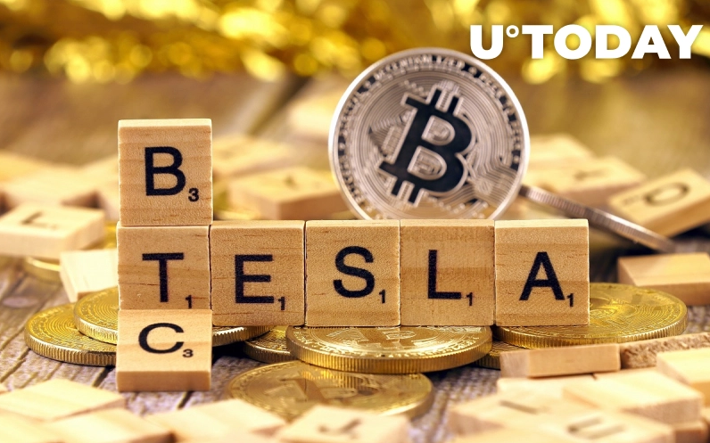 Teslas Bitcoin Holdings - نظرات ایلان ماسک در مورد هولد بیت کوین در تسلا