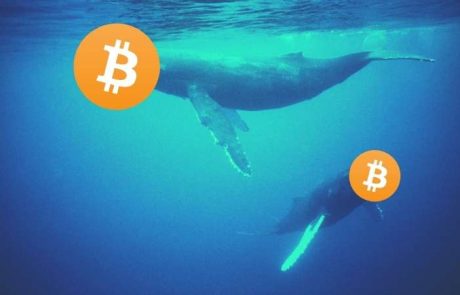 bitcoin whales 3c3p6csd318pxz0f80sj62 - نهنگ های بیتکوین 60 هزار بیتکوین در یک روز اضافه کردند: شروع سودآوری تاریخی در ژوئیه