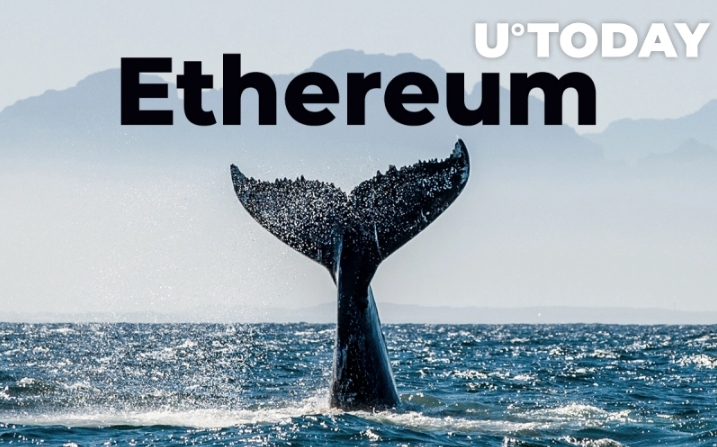 2021 08 02 18 40 48 Ethereum Millionaire Tier Whales Now Hold 39.2 ETH Supply Pushing Price Clos - سنتیمنت: نهنگ های میلیونر اتریوم 39/2٪ از اتریوم موجود را در اختیار دارند و قیمت را به 2700 دلار نزدیک می کنند