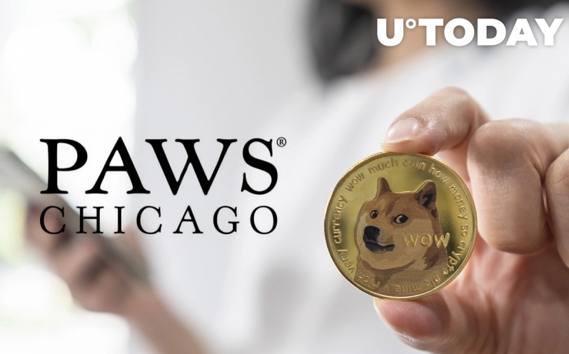 2021 08 24 21 30 56 Dogecoin Now Accepted by Largest No Kill Animal Shelter in Midwest - دوج کوین هم اکنون توسط بزرگترین پناهگاه حیوانات در ایالات میانه غربی آمریکا پذیرفته می شود