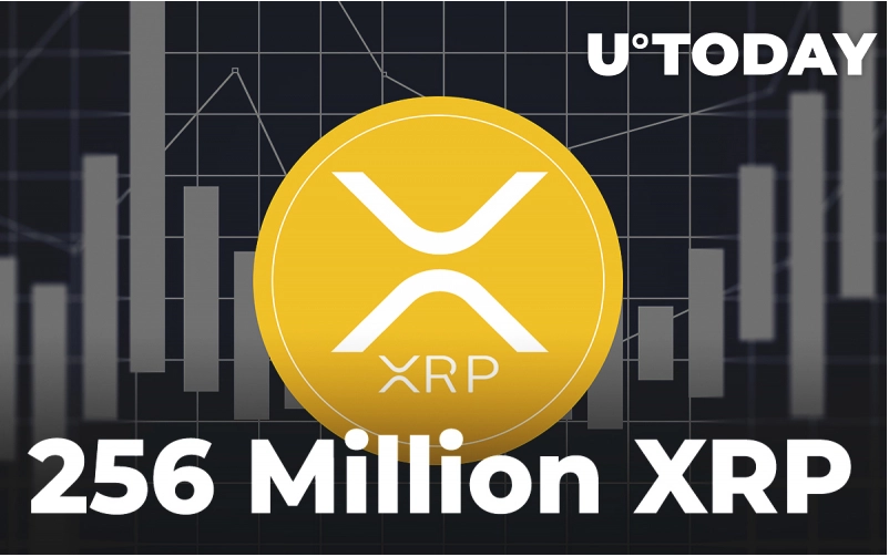55 - 256 میلیون XRP از کیف پول کوینبیس منتقل شده است