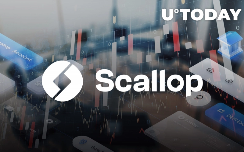 Screenshot 2021 08 05 at 01 47 06 Scallop UK Startup Implements Traditional Banking Services Into DeFi Platform - استارتاپ Scallop خدمات بانکی سنتی را در بستر دیفای اجرا می کند