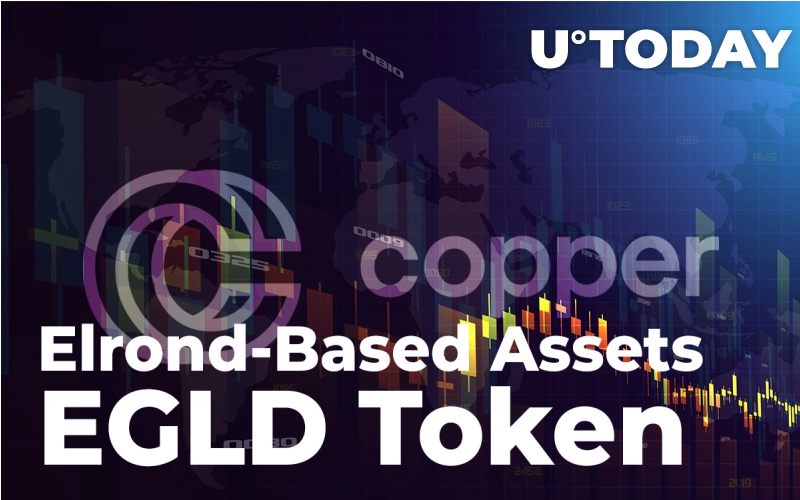 Screenshot 2021 08 30 at 18 24 13 Elrond Based Assets and EGLD Token Added by Copper co Custody Services Provider - دارایی های مبتنی بر Elrond و رمزارز EGLD توسط ارائه دهنده خدمات سرمایه گذاری، Copper اضافه شده است