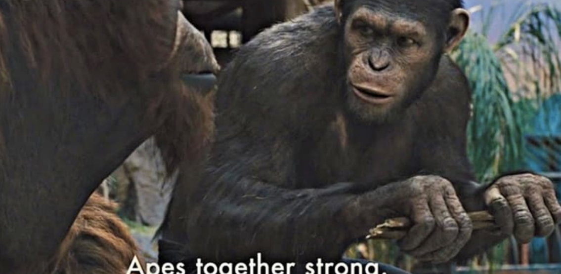 apes - DeFiDAO بر علیه قانونگذاران ضد دیفای تشکیل می شود