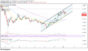 aug3 xrp 300x173 - تحلیل تکنیکال ریپل؛ سه شنبه 12 مرداد