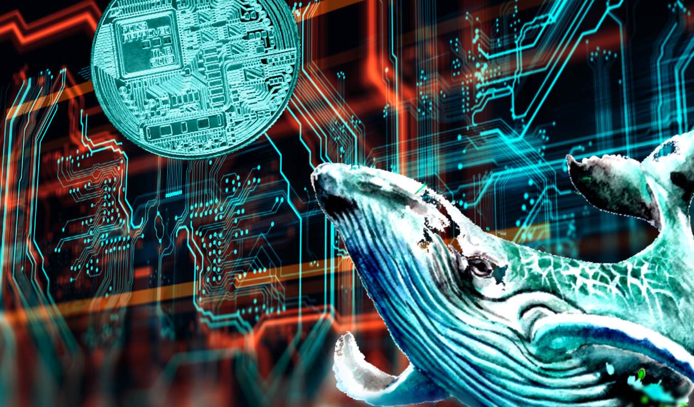 crypto whale - نهنگها 374,000,000 تتر جابجا کردند