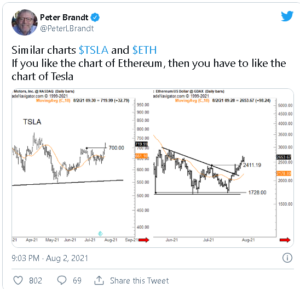 screenshot u.today 2021.08.02 23 23 24 300x289 - معامله گر پیشکسوت، پیتر برنت، به شباهت های قابل توجه بین نمودار قیمت اتریوم و تسلا اشاره کرد