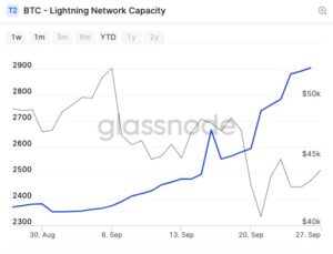 Bitcoin BTC Lightning Network Capacity 300x229 - ظرفیت شبکه لایتنینگ بیت کوین از  2900 BTC عبور کرد