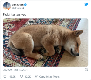 Screenshot 2021 09 13 at 10 46 39 Elon Musk Sends Dogecoin Offshoot Soaring with Photo of His Dog 300x262 - ایلان ماسک، فلوکی اینو را با عکس سگ خود به اوج می فرستد