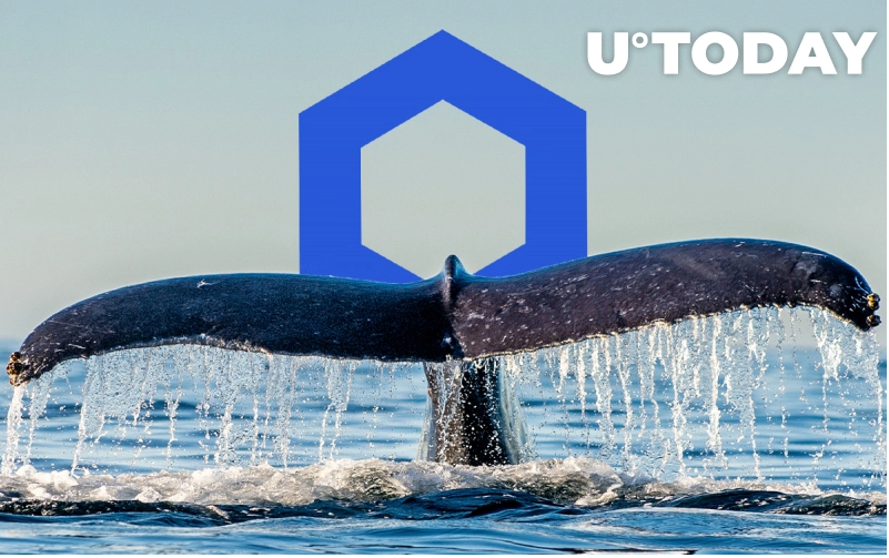 2021 10 22 12 55 14 Chainlink Whales Now Hold Almost 25 of Supply  Heres Why It Might Be Concernin - نهنگهای چینلینک تقریبا 25 درصد از عرضه را در اختیار دارند