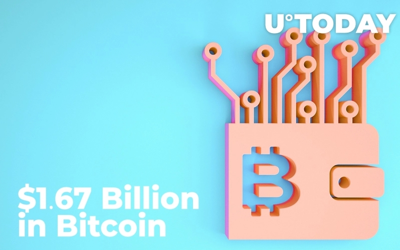 2021 10 23 17 57 52 1.67 Billion in Bitcoin Moved Between Anon Wallets as BTC Drops to 60000 - همزمان با کاهش قیمت بیت کوین به 60،000 دلار، ۱/۶۷ میلیارد دلار بیت کوین بین کیف پول های ناشناس جابجا شد
