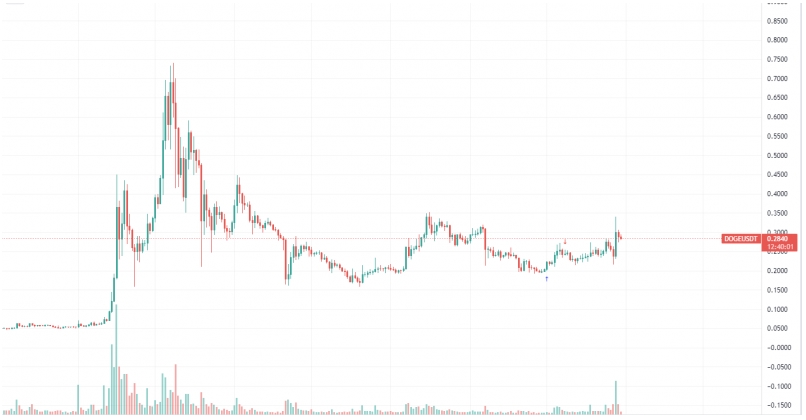 2021 10 30 18 34 13 DOGE Daily Circulation Decreases by 90 Here Are Main Reasons - گردش روزانه دوج تا 90٪ کاهش یافت