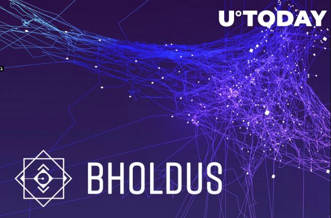 Bholdus