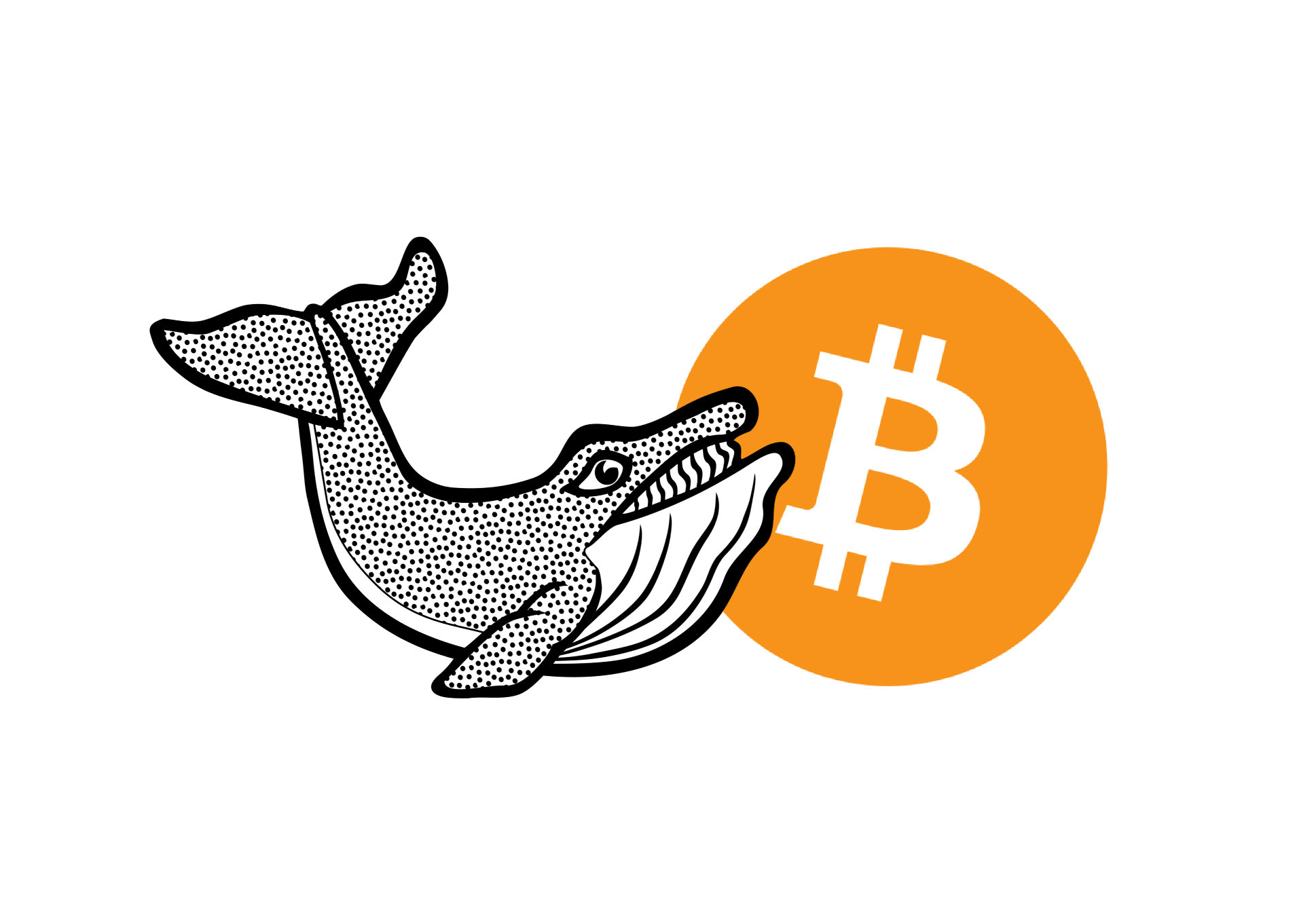 Bitcoin Whale - سومین نهنگ بزرگ بیت کوین 1500 بیت کوین در قیمت 54.3 هزار دلار فروخت