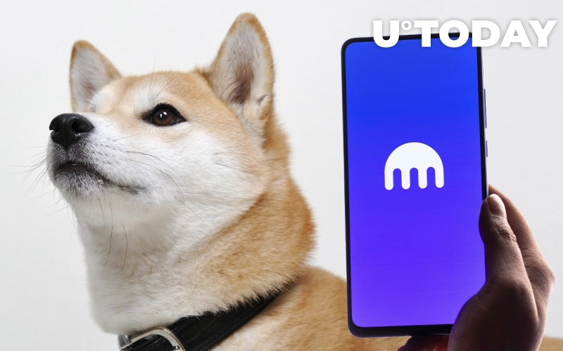 2021 11 01 18 47 51 Shiba Inu SHIB on Track to Be Listed on Kraken - شیبا بزودی در صرافی Kraken لیست می شود