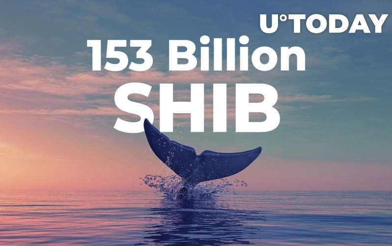 2021 11 02 17 37 27 ETH Whale Grabs Over 153 Billion SHIB - یک نهنگ اتریوم بیش از 153 میلیارد شیبا خرید