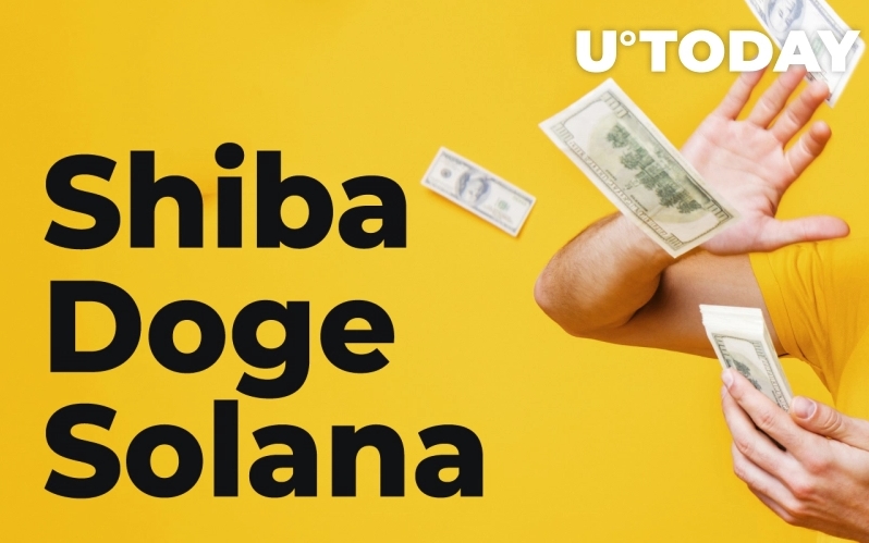 2021 11 11 17 04 47 Heres How Much 1000 Invested in Shiba Doge or Solana a Year Ago Would Be Wor - 1000 دلار سرمایه گذاری در شیبا، دوج یا سولانا در یک سال پیش اکنون چقدر ارزش دارد؟