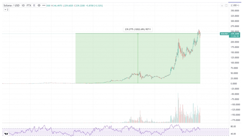 2021 11 11 17 07 05 Heres How Much 1000 Invested in Shiba Doge or Solana a Year Ago Would Be Wor - 1000 دلار سرمایه گذاری در شیبا، دوج یا سولانا در یک سال پیش اکنون چقدر ارزش دارد؟