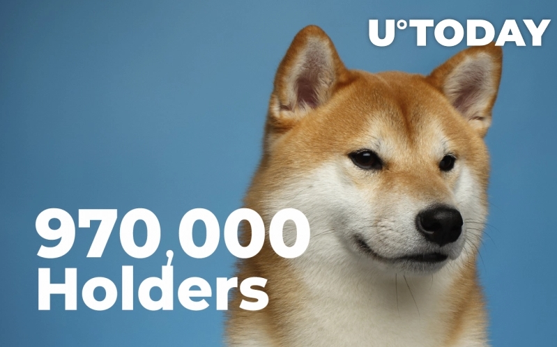 2021 11 13 18 26 46 Shiba Inu Passes New Record of 970000 Holders - تعداد هولدر های شیبا اینو از 970،000 نفر فراتر رفت