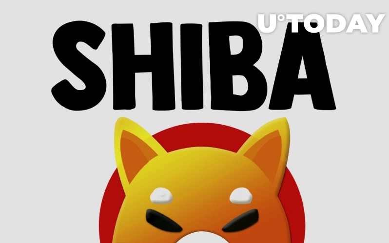 2021 11 17 16 02 45 Shiba Inu Becomes Largest ERC 20 Holding Among Top 1000 ETH Wallets - شیبا به بزرگترین هلدینگ ERC-20 در میان 1000 کیف پول برتر اتریوم تبدیل شد