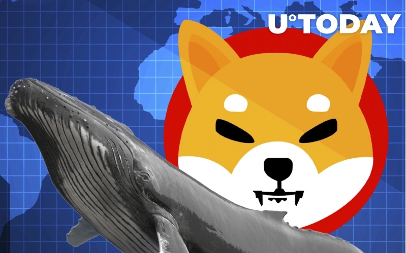 2021 11 18 18 51 21 Shiba Inu Dominance Reaches 21 Among Whale Tier Holders - تسلط شیبا اینو در میان کیف پول نهنگ ها به 21 درصد می رسد