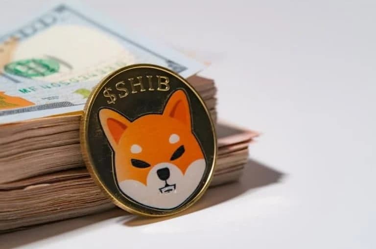 72 of all Shiba Inu SHIB holders are in profit 2 - 72 درصد از هولدرهای شیبا اینو (SHIB) در سود هستند