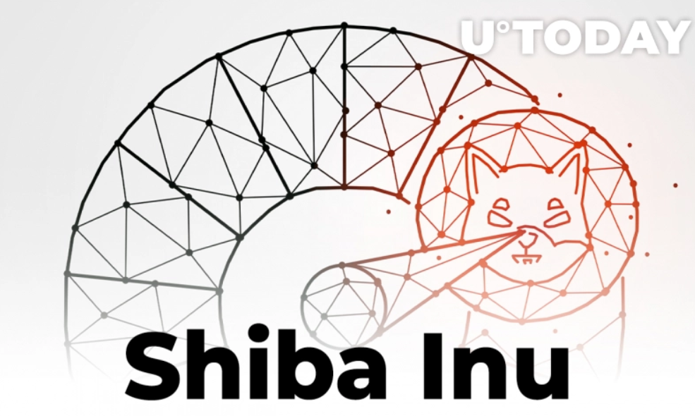 Shiba Inu - افت شدید فعالیت‌های شبکه شیبا اینو