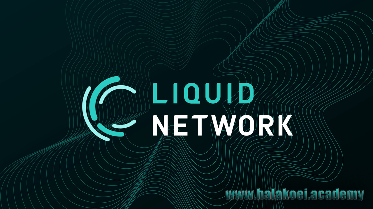 what-is-liquid-network