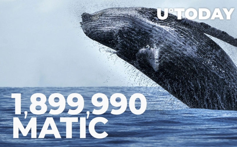 2021 12 08 17 14 17 Whales Added 1899990 MATIC to Their Holdings in Last 24 Hours - نهنگ ها در 24 ساعت گذشته 1,899,990 MATIC را به دارایی های خود اضافه کردند