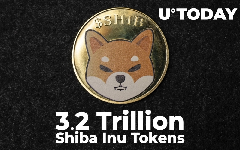 2021 12 08 17 28 44 New SHIB Whale Holds 3.2 Trillion Shiba Inu Tokens Amid Accumulation Spree - یک نهنگ جدید 3/2 تریلیون توکن شیبا خرید