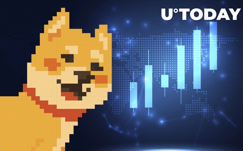 2021 12 21 18 54 43 Dogecoin and Shiba Inu Led Meme Economy Sees Sharp Rise in 24 Hour Trading Volum - میم کوین ها به رهبری شیبا و دوج شاهد افزایش شدید حجم معاملات 24 ساعته بوده اند