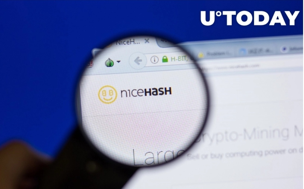 IMG 20211222 003050 - لیست شدن شیبا اینو توسط صرافی NICEHASH بریتانیا