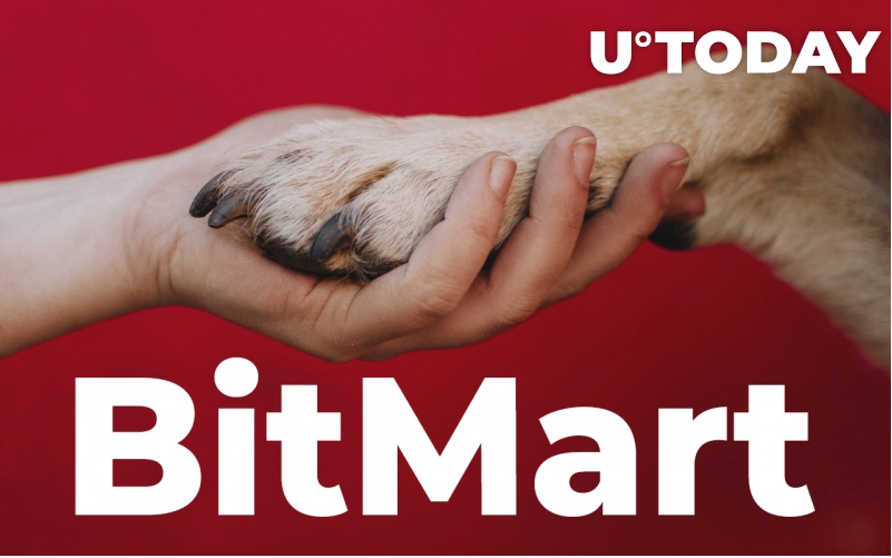 bitmart - جامعه شیبا اینو پس از هک به بیت‌مارت کمک می‌کند