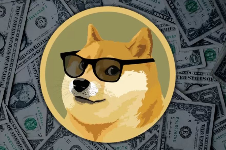 dogecoin - دوج کوین در سال 2021 در بین 5 واژه پرطرفدار گوگل برای جستجوی اخبار