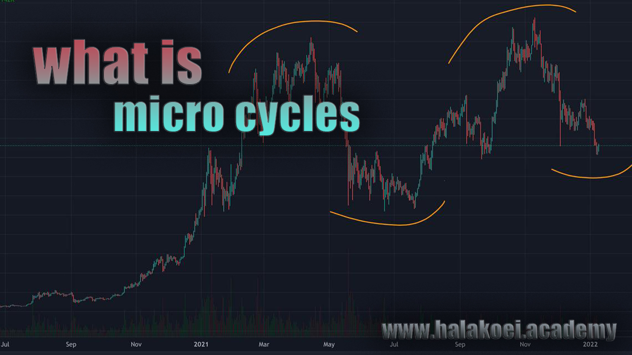 micro-cycles