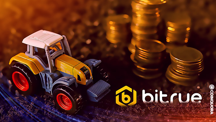 1 Bitrue - صرافی Bitrue به زودی هاب فارم جدیدی را راه اندازی می کند و بیش از 150٪ APY را ارائه می دهد