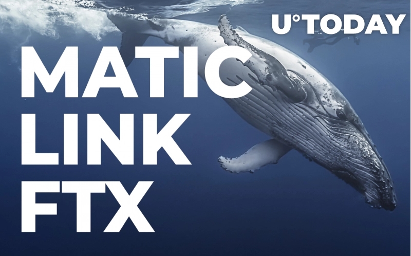 2022 01 08 18 34 08 Top ETH Whales Grab MATIC LINK FTX as Market Remains in Decline - نهنگ های برتر اتریوم علیرغم ریزش بازار، MATIC ،LINK و FTX را خریداری می کنند