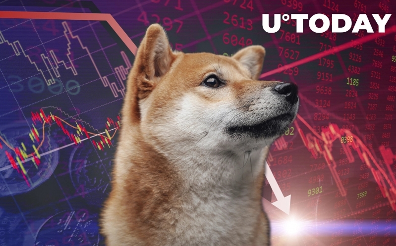 2022 01 09 19 55 14 Shiba Inu Drops Below Dogecoin and AVAX on List of Top Coins and Tokens by Marke - شیبا اینو در لیست برترین رمزارزها براساس ارزش بازار از دوج کوین و AVAX پایین‌تر آمد