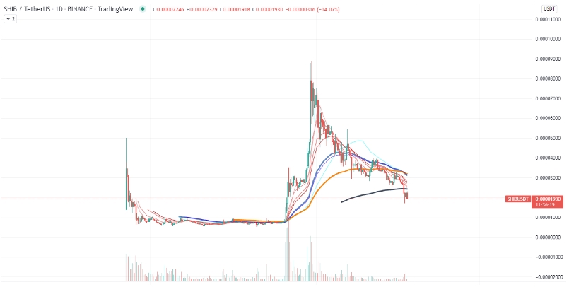 2022 01 24 17 11 52 Ethereum Whale Buys 500 Billion Shiba Amid Market Bloodbath - خرید 500 میلیارد شیبا توسط یک نهنگ اتریوم