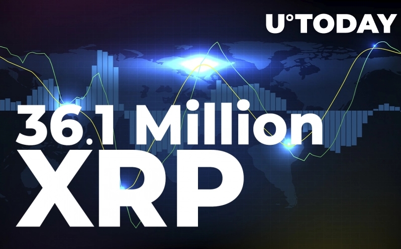 2022 01 29 18 11 51 This Ripples Crypto Unicorn Shifts 36.1 Million XRP  Details - جابجایی 36/1 میلیون XRP توسط صرافی Bitso