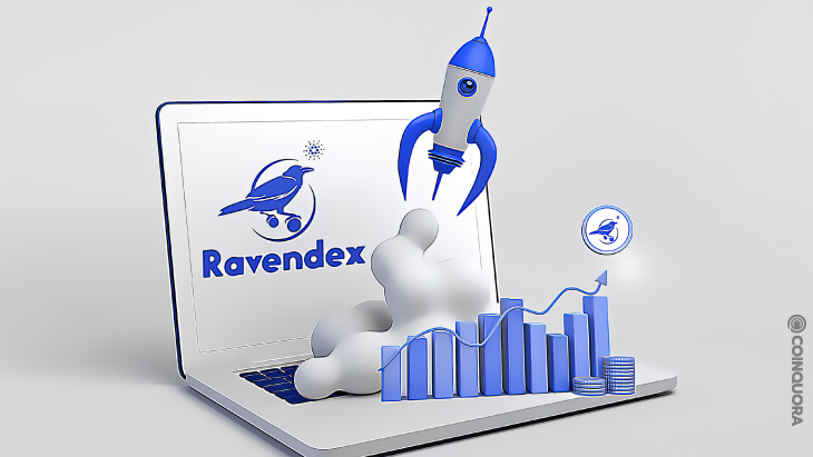 rave - صرافی غیرمتمرکز Ravendex کاردانو، مجموعه انحصاری NFT خود را راه اندازی کرد