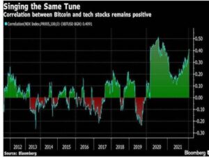 screenshot www.business standard.com 2022.01.16 09 55 23 300x225 - تداوم انطباق بیت کوین با سهام فناوری