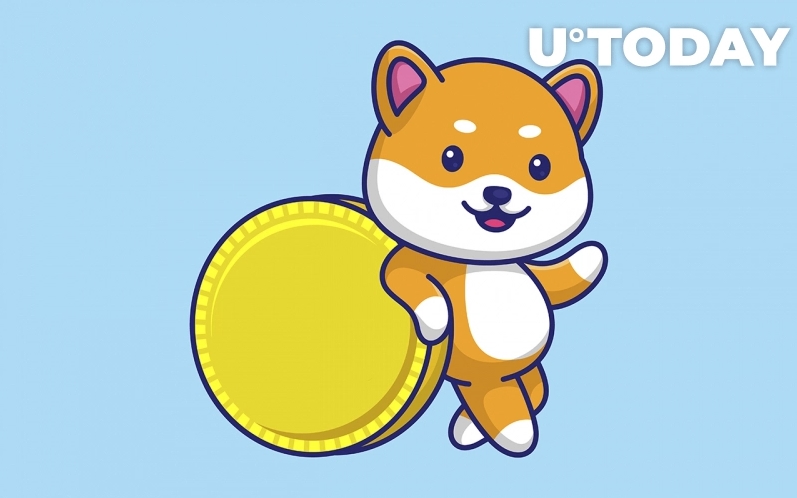 2022 02 01 18 46 39 BabyDoge Reaches 1.360 Million Holders Surpassing ETH as Most Traded Token - بیبی دوج به 1/360 میلیون هولدر رسید و از اتریوم به عنوان پرمعامله ترین رمزارز در بین ۱۰۰۰ کیف پول بزرگ BSC پیشی گرفت