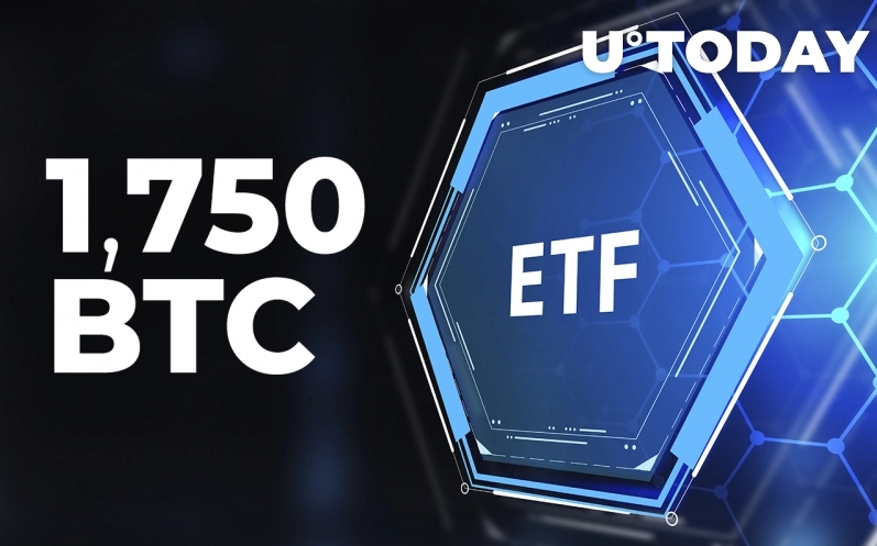 2022 02 03 18 26 27 Purpose Bitcoin ETF Buys 1750 BTC Within 2 Days on the Dip - خرید 1750 بیت کوین توسط Purpose Bitcoin ETF در عرض 2 روز