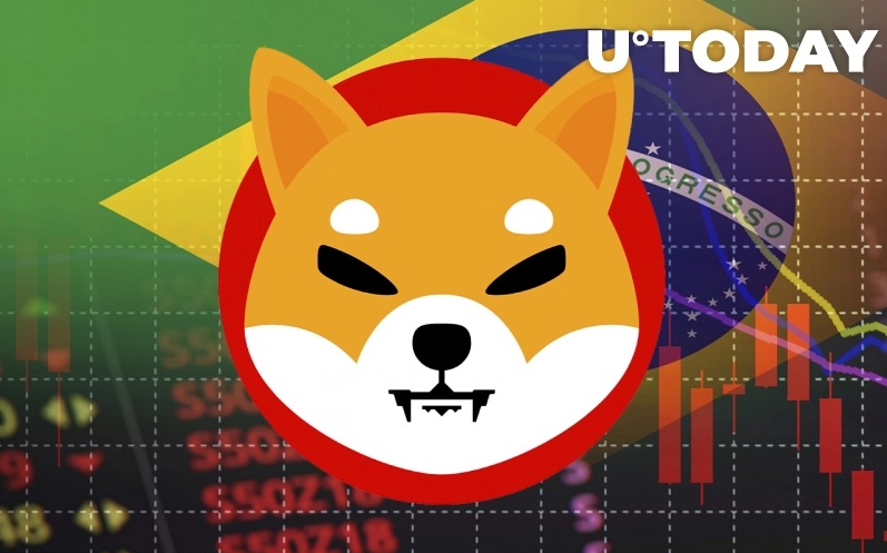 2022 02 09 18 12 10 Shiba Inu to Start Trading on One of Brazils Top Crypto Exchanges - شروع معاملات شیبا اینو در یکی از صرافی های برتر کریپتو در برزیل